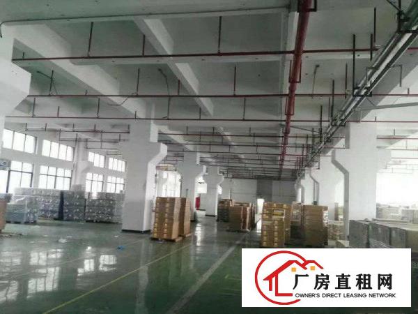 大岭工业区新出一楼精装修办公室1100平方厂房招租