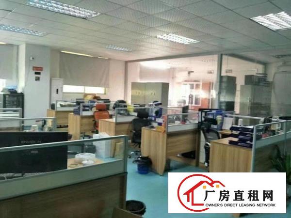  大岭工业区新出一楼精装修办公室1100平方厂房招租