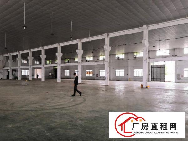  大沙新出原房东独院单一层2500平方厂房出租，滴水10米