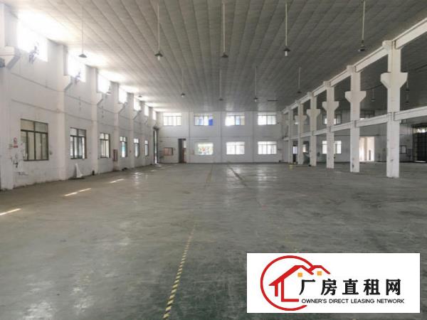  大沙新出原房东独院单一层2500平方厂房出租，滴水10米