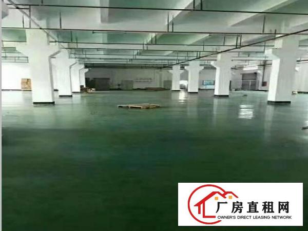  大岭山向东原房东独门独院3层4500平厂房出租可办环评过消防