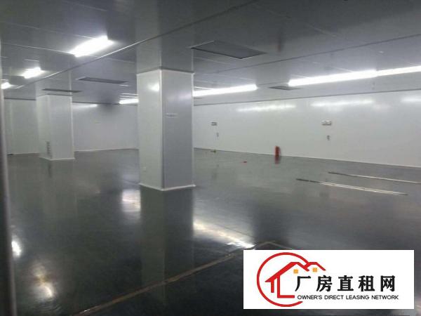 现成无尘车间厂房招租！！！寻找口罩厂家合作，现成设备办公室