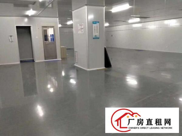  现成无尘车间厂房招租！！！寻找口罩厂家合作，现成设备办公室