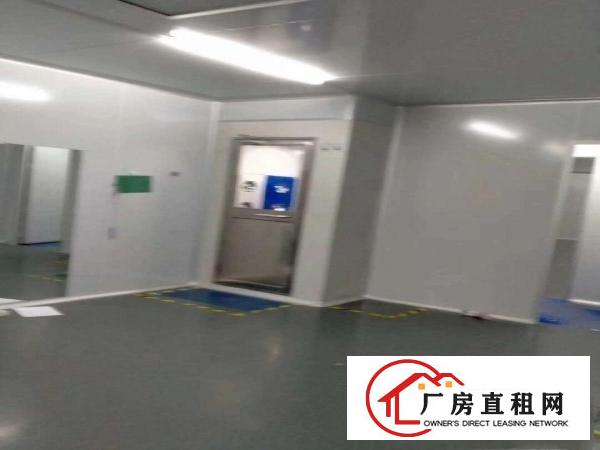  现成无尘车间厂房招租！！！寻找口罩厂家合作，现成设备办公室