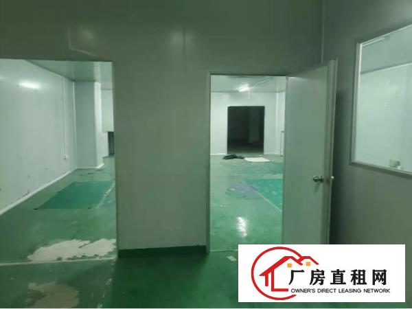  大岭山新出标准厂房三楼800平方出租，有精装修办公室