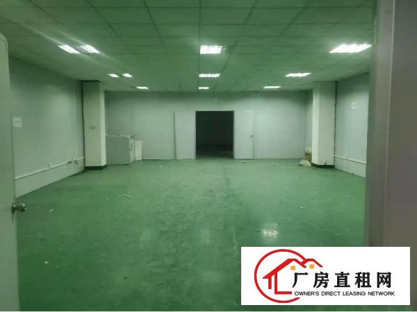  大岭山新出标准厂房三楼800平方出租，有精装修办公室
