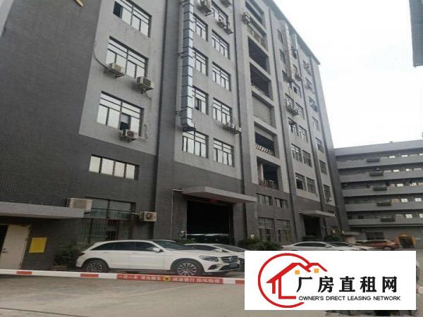  原房东厂房招租！！！杨屋村新出350平方标准厂房招租，精装修