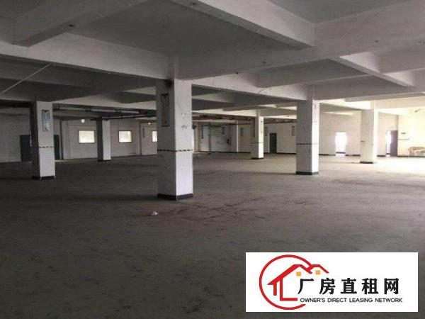  杨屋新出标准厂房二楼1500平厂房出租，环境舒适，价格美丽！