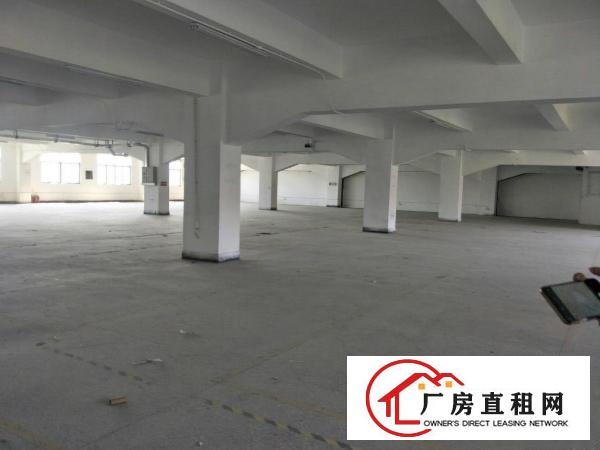  大岭山国道边可办环评厂房2200平方招租