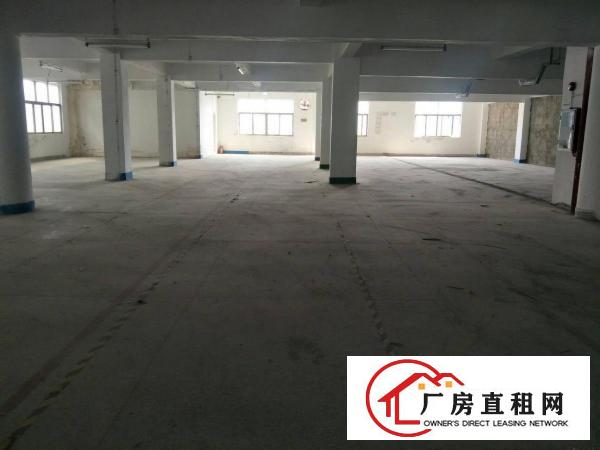  大岭山国道边可办环评厂房2200平方招租