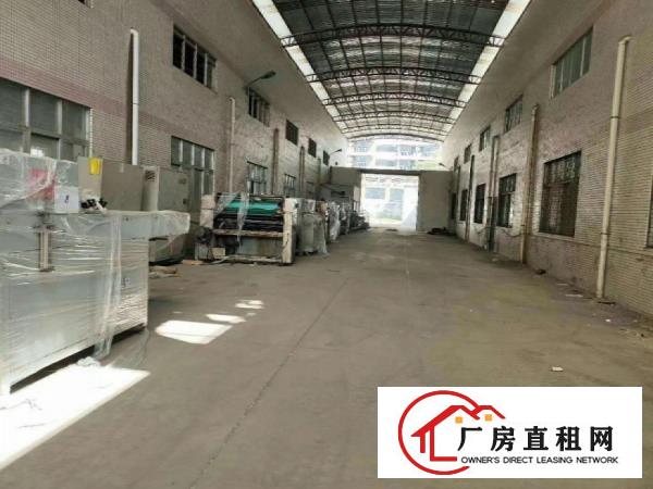  大岭山新出原房东独院厂房3300平滴水8米可挂行车