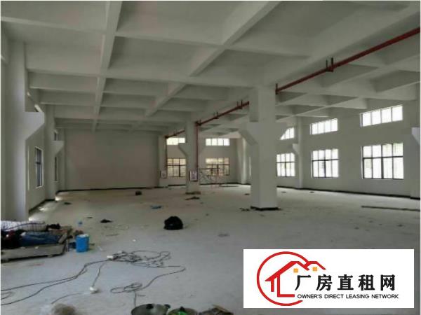  大岭山新出原房东标准厂房一楼1200平方，带牛角