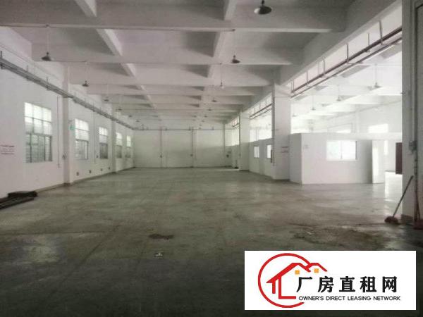  大岭山厚大路边可办环评6600平方独院厂房招租