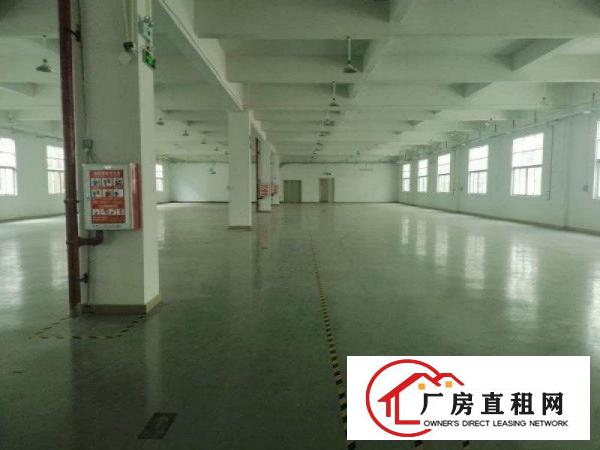 大岭山厚大路边可办环评6600平方独院厂房招租