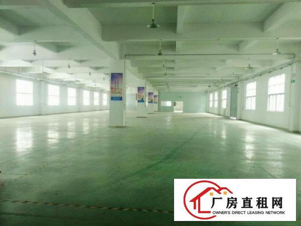  大岭山厚大路边可办环评6600平方独院厂房招租