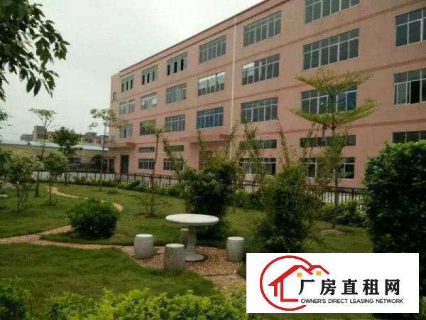  大岭山新出向东三工业区楼上1500平豪华装修办公室