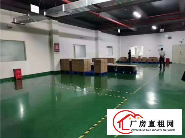  大岭山新出3200平米全新无尘车间出租带地坪漆