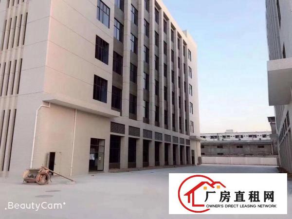  东莞市原房东一手厂房（实际面积，没有公摊）出租，一手业主厂房