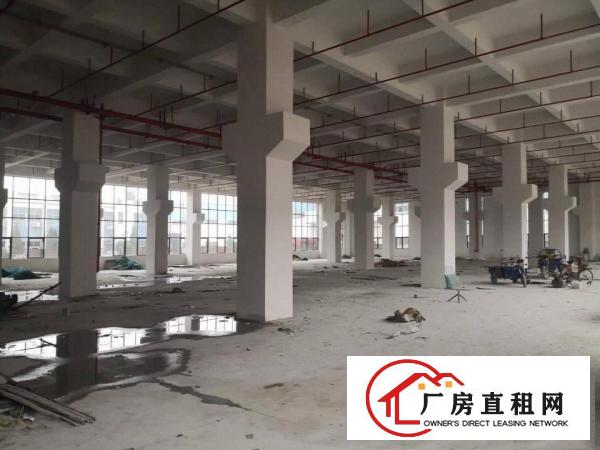  东莞市原房东一手厂房（实际面积，没有公摊）出租，一手业主厂房