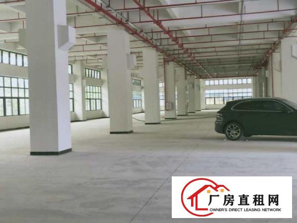  东莞市原房东一手厂房（实际面积，没有公摊）出租，一手业主厂房