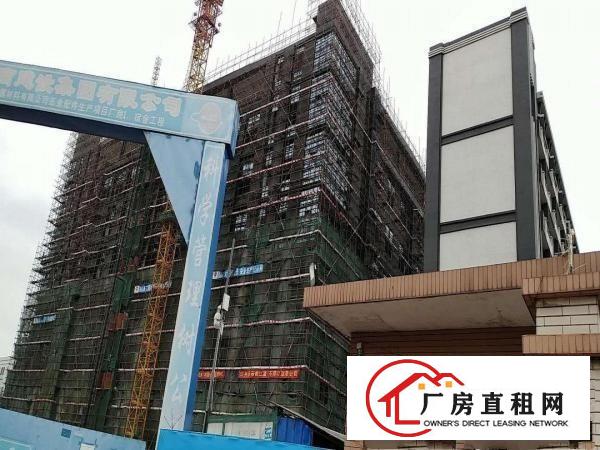 东莞市原房东一手厂房（实际面积，没有公摊）出租，一手业主厂房