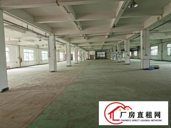  大岭山金桔村原房东独门独院8000平厂房出租工业用地可办环评