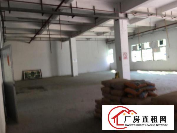  大岭山杨屋一楼厂房招租行业不限大小可分租