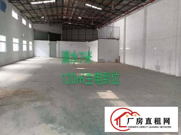  大岭山杨屋一楼厂房招租行业不限大小可分租