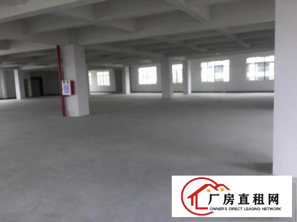  大岭山杨屋一楼厂房招租行业不限大小可分租