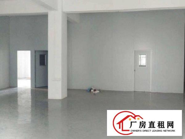 杨屋新出原房东自建两层厂房800平，现成装修带办公室！