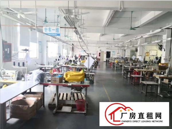  有现成办公室精装修大岭山镇出租二楼800平厂房格局形象好