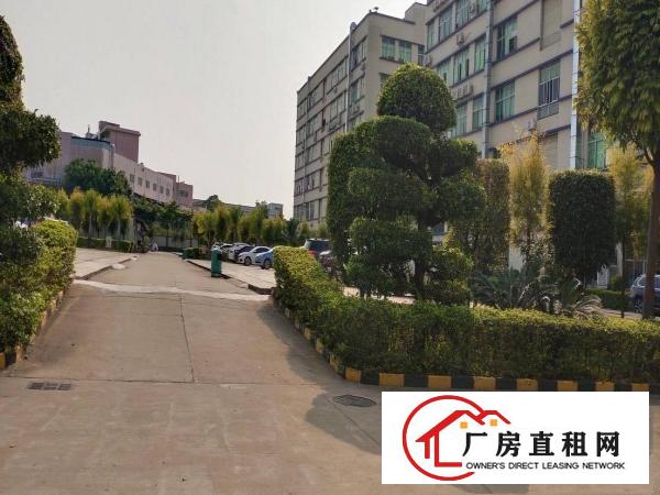  免中介费！大岭山花园式楼上2000平方厂房出租