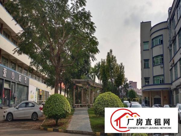  免中介费！大岭山花园式楼上2000平方厂房出租