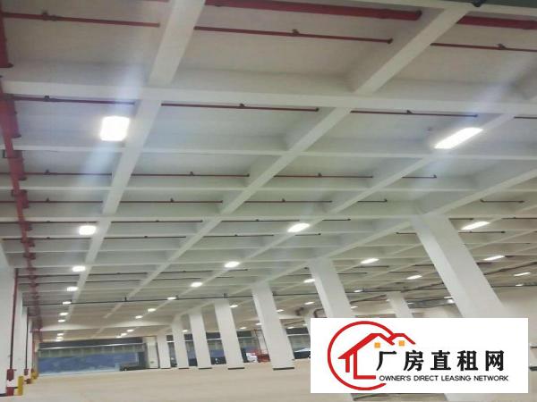  东莞新出高标准物流仓库20000平方，带有各种证件