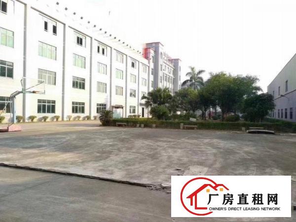  免中介费！大岭山大塘村工业园1楼2680平厂房出租，环评秒办