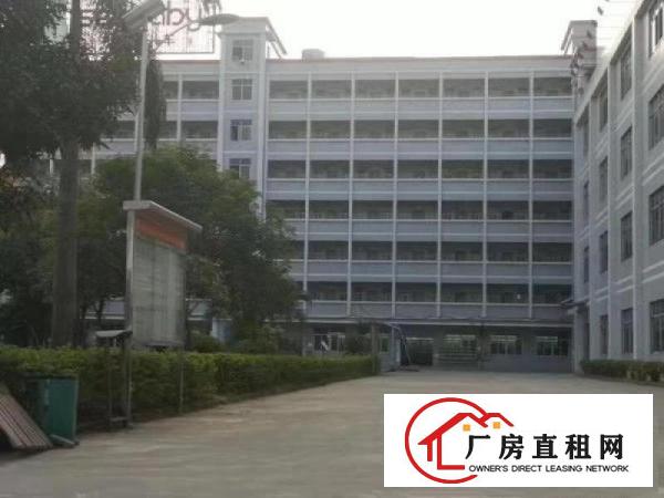  免中介费！大岭山大塘村工业园1楼2680平厂房出租，环评秒办