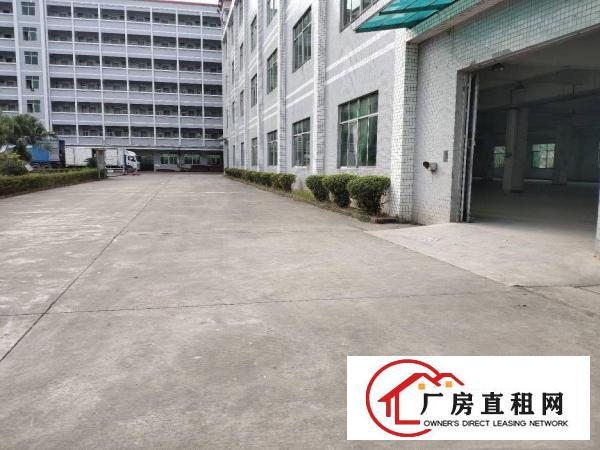  免中介费！大岭山大塘村工业园1楼2680平厂房出租，环评秒办