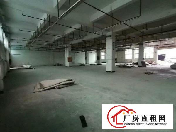 大岭山厚大路附近新出一楼1100平厂房出租形象好交通便利