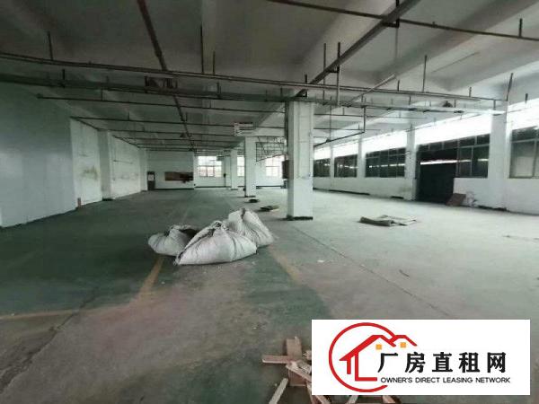  大岭山厚大路附近新出一楼1100平厂房出租形象好交通便利