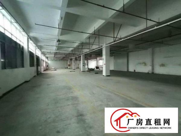  大岭山厚大路附近新出一楼1100平厂房出租形象好交通便利