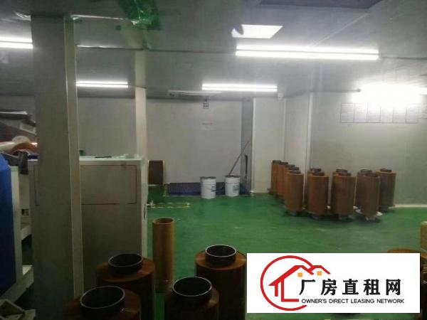  大岭山厚大路边大片美原房东1500平厂房出租带无尘车间