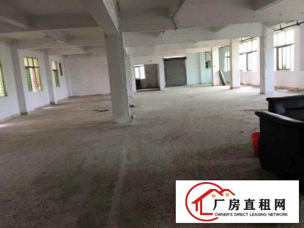  大岭山大塘原房东独栋民房2层800平方出租无公摊