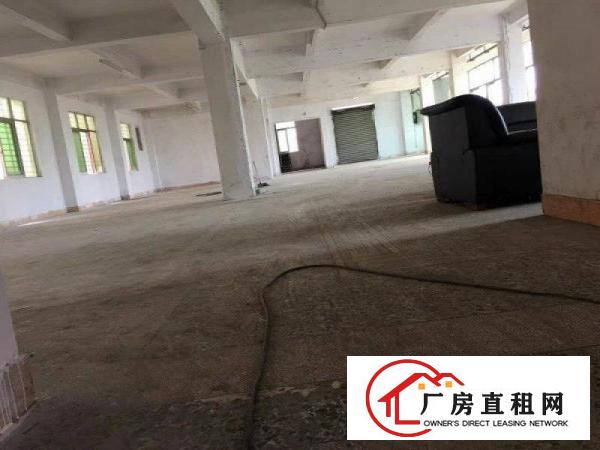  大岭山大塘原房东独栋民房2层800平方出租无公摊