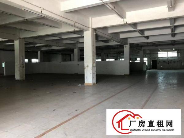  大岭山豪华装修红本独院，大小分租可办环评