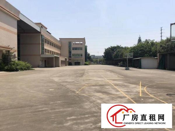  大岭山豪华装修红本独院，大小分租可办环评