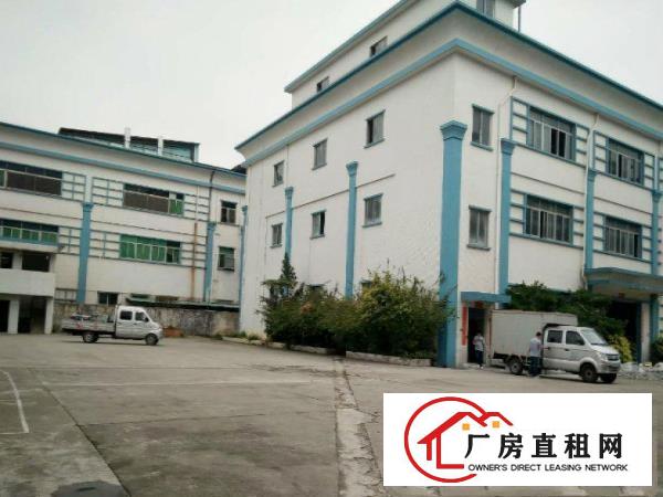  带装修大岭山镇工业园出租一楼800平厂房有现成办公室空地大