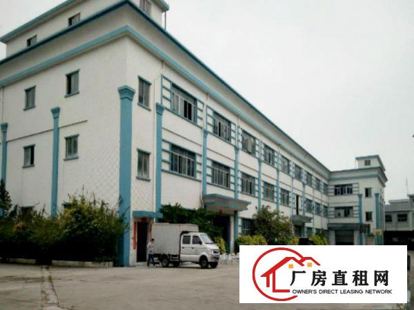  带装修大岭山镇工业园出租一楼800平厂房有现成办公室空地大