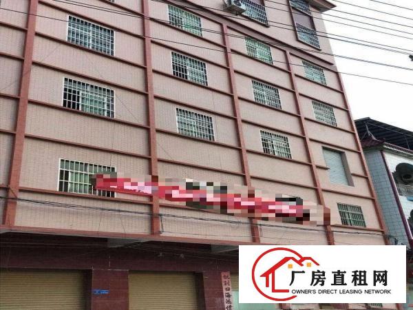  原房东，精装修，可做仓库，金桔出楼上280平厂房低价出租