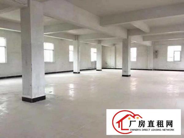  原房东，精装修，可做仓库，金桔出楼上280平厂房低价出租