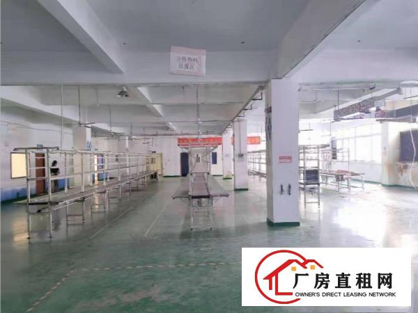  可做污染大岭山镇出租二楼800平带现成办公室租11块无杂费